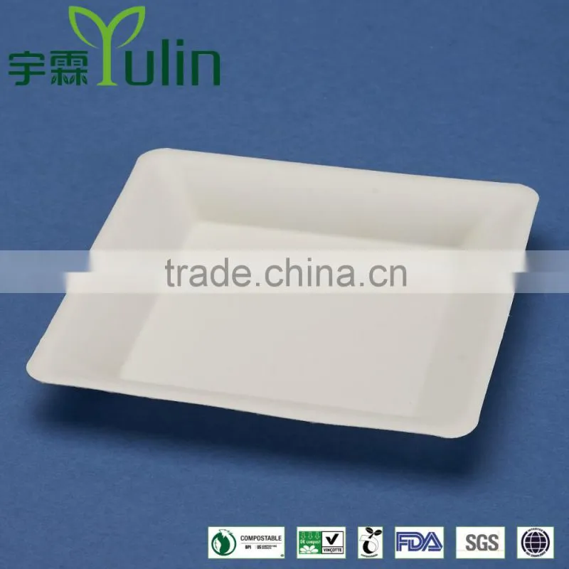 PL-06-S 6.75 inches disposable flate square shape sugarcane dinner plates
