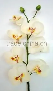 Decorative fabric flower decorative silk flower orchid