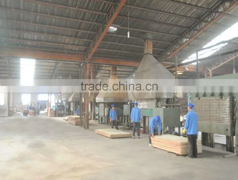 Fancy Plywood/Fancy Poplar Plywood for furniture making