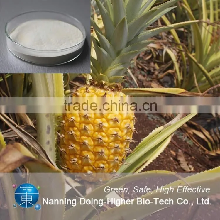 Food grade plant extract manufacturer direct selling pineapple extract powder bromelain