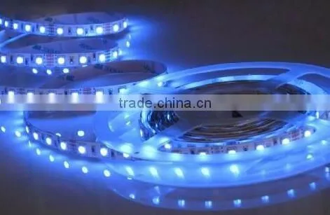 12V/24v 3528SMD 4.8W 5M CE Standard red color IP65 LED Strips