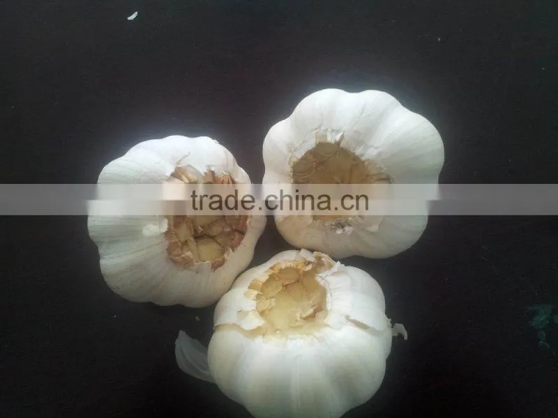 garlic cutting machine/cutting garlic machine/garlic cutter/garlic processing machine