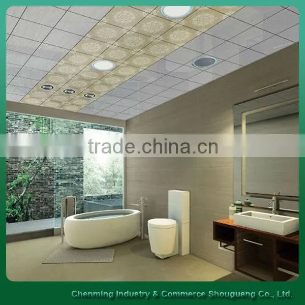 elegant aluminum ceiling panel with heat image and transfer