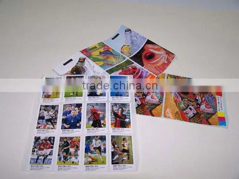 UV printing adhesive label (ALL003)