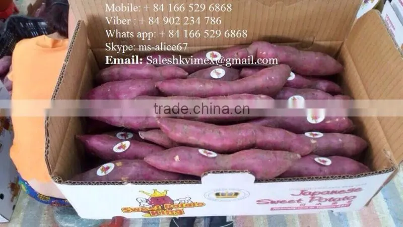 Viet Nam Sweet Potato