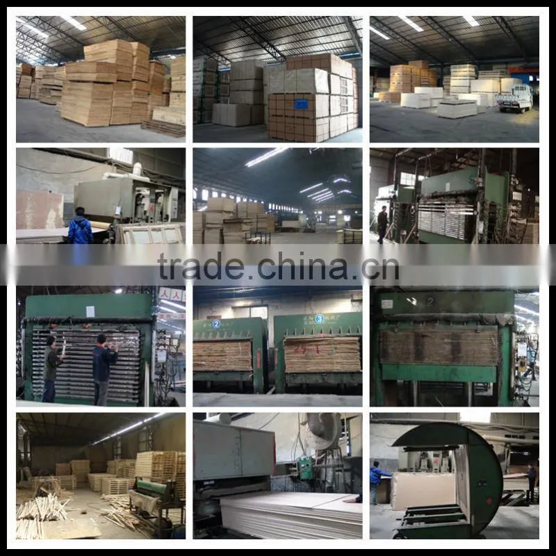 high quality beech plywood sheet for furniture