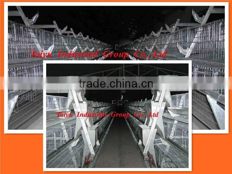 TAIYU-9 boiler/brooder chicken cage