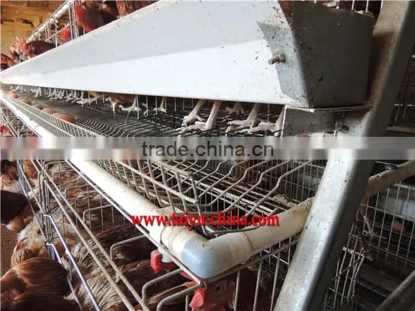 TAIYU Design Layer Chicken Cages In Kenya