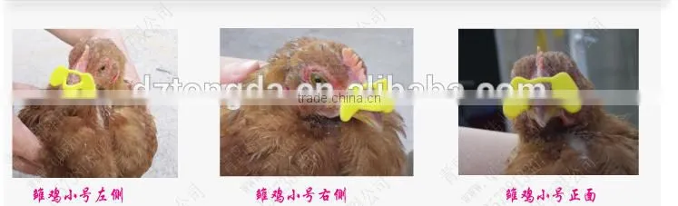 poultry glasses of diffrent size
