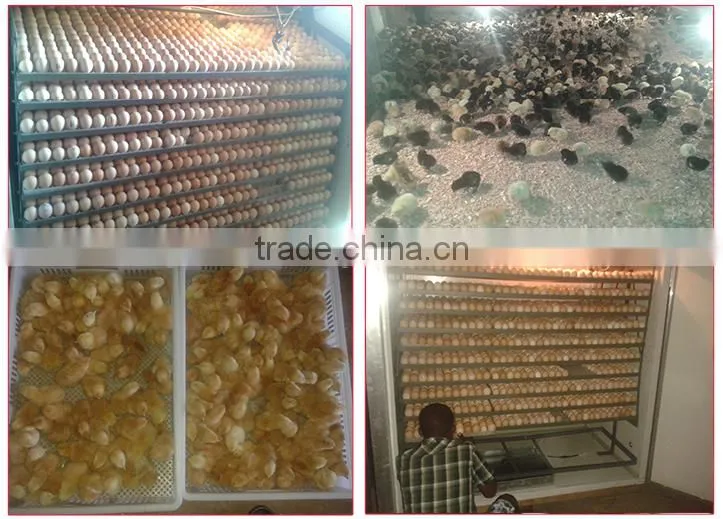 Cheap 528 incubator machine price,poultry incubator machine made in china