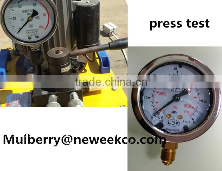 Neweek vertical precise hydraulic olive oil press machine