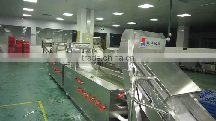 TW-307L automatical leafy vegetable washer (Video)