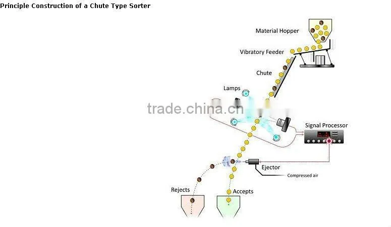Anhui Hons +CCD Dehydrated Vegetables Fruit Color Sorter machine
