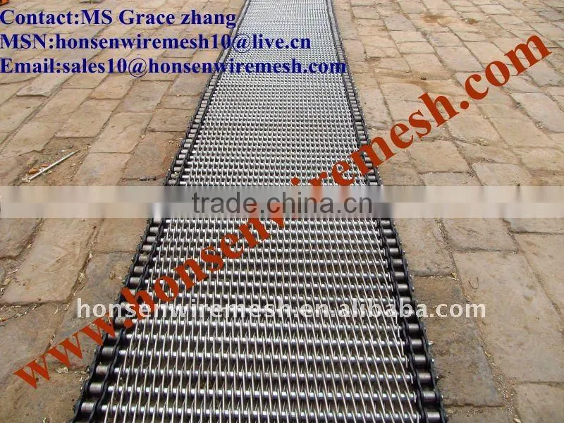 High Quality Conveyer belt mesh ( 15 years factory)