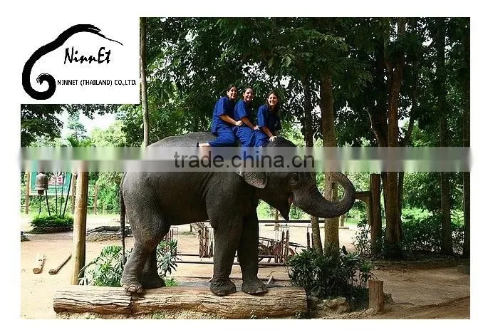 Wood Carved Elephant from Thailand