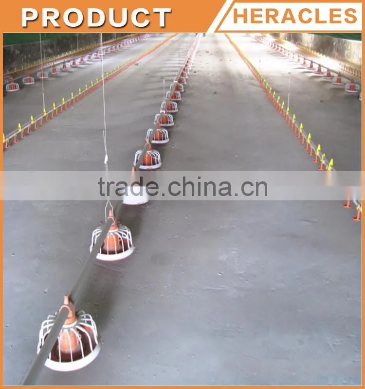 Trade assurance chicken farm project poultry farming equipment for sale