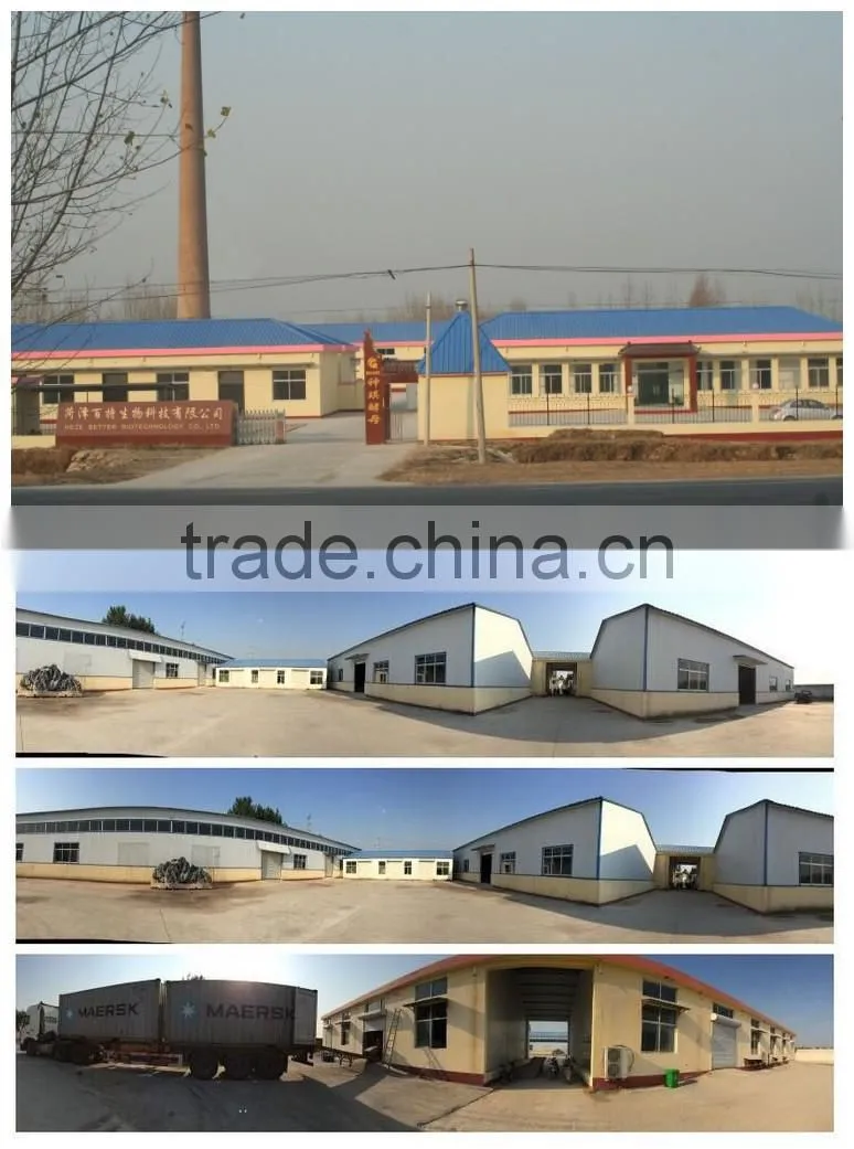 OEM Natural Orange Flavoring Juice Powder Drink