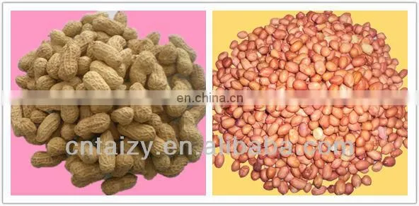 High quality 90% first time threshing groundnut sheller