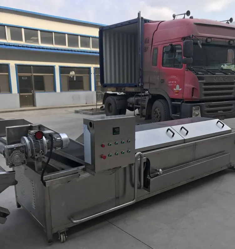 Vegetable Washing Cleaning and Rushing Machine