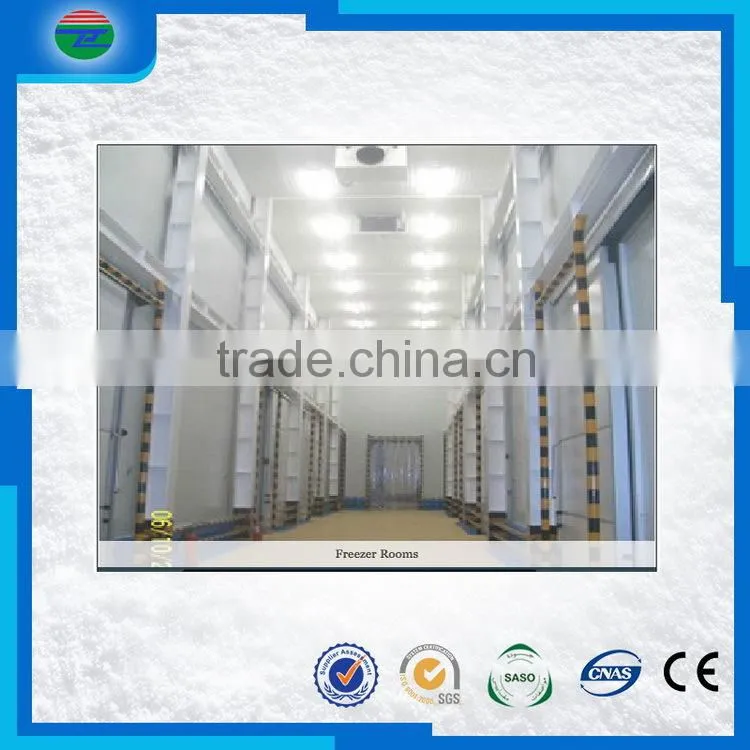 New product high-ranking fruits cold storage/cold room fruit storage/room