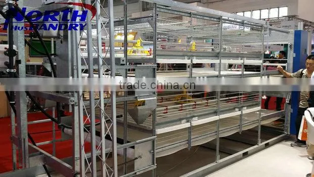 Clean Plastic Poultry Slat Floor For Chicken