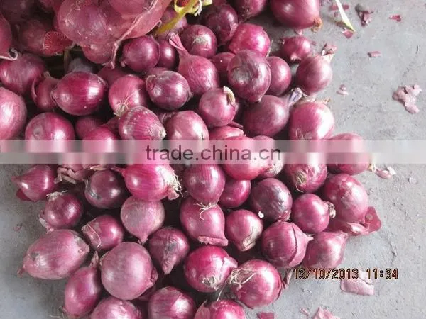 Fresh Red Onion