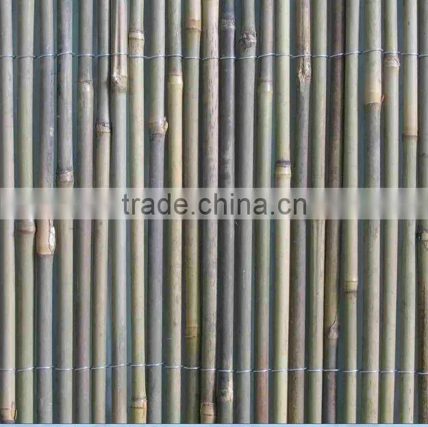 bamboo stick fence