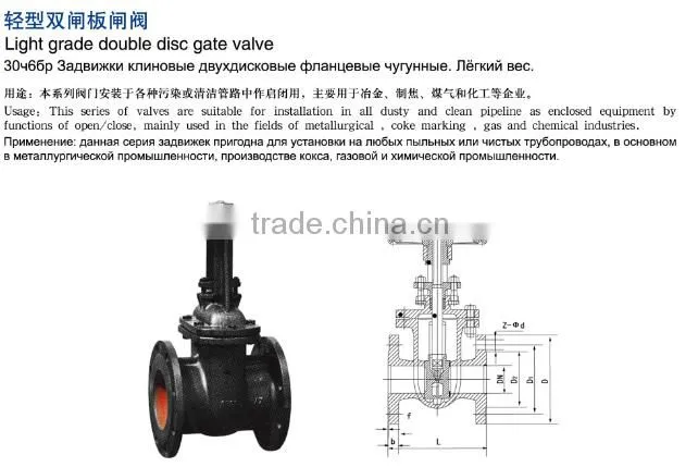 Z44T - 10 Light grade double disc grey iron gate valve