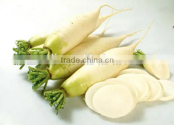 Hot sale potato garlic cleaning peeling machine for commercial use