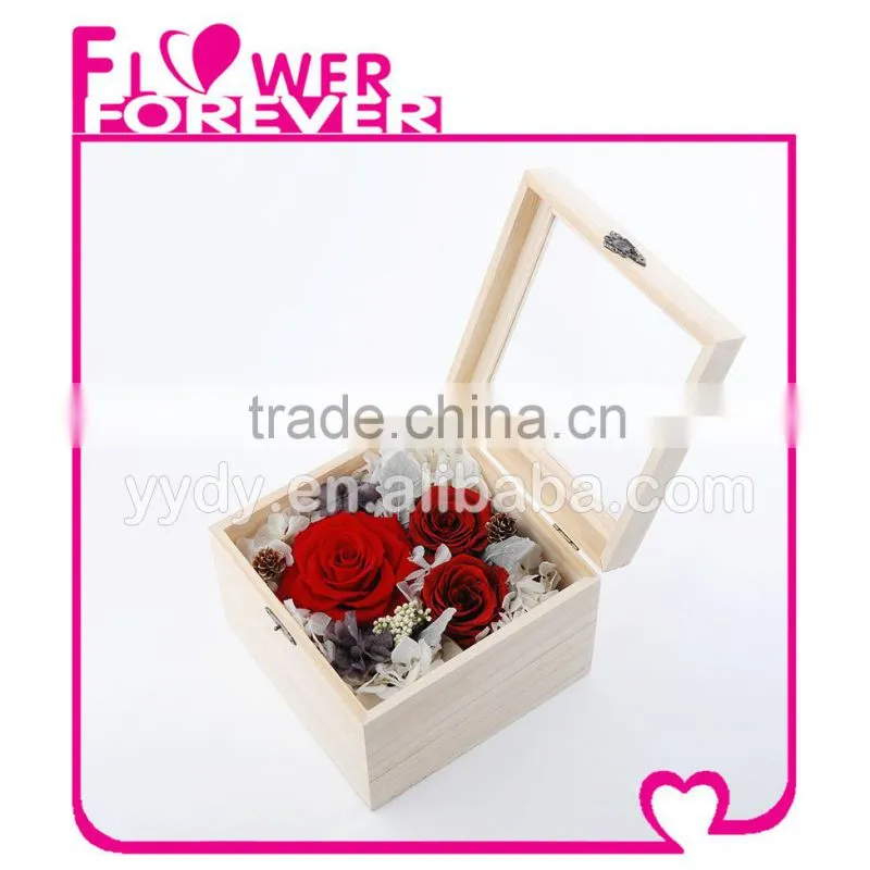 Wholesale Real Preserved Flower