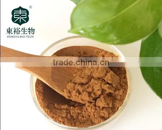 Green Tea Extract polyphenols 95% EGCG 50%