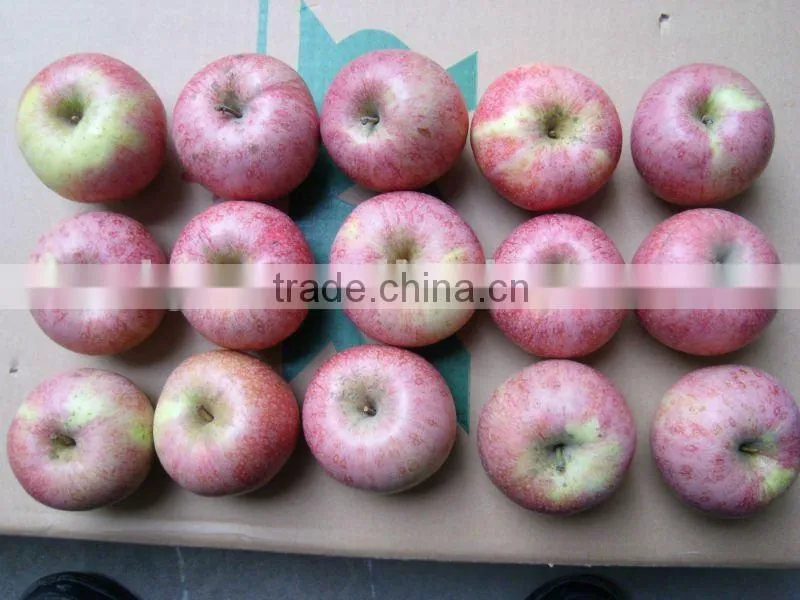 RED QINGUAN