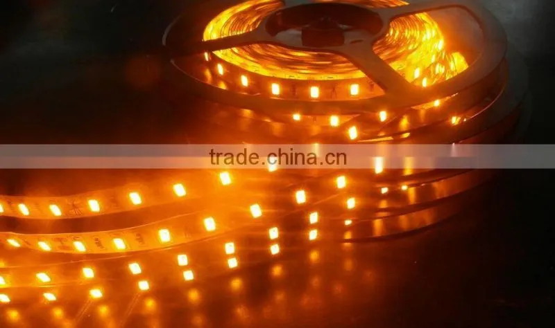 dc12v 24v brilliant flexible led strip light ribbon light