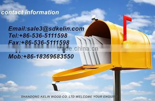 China display book shelf