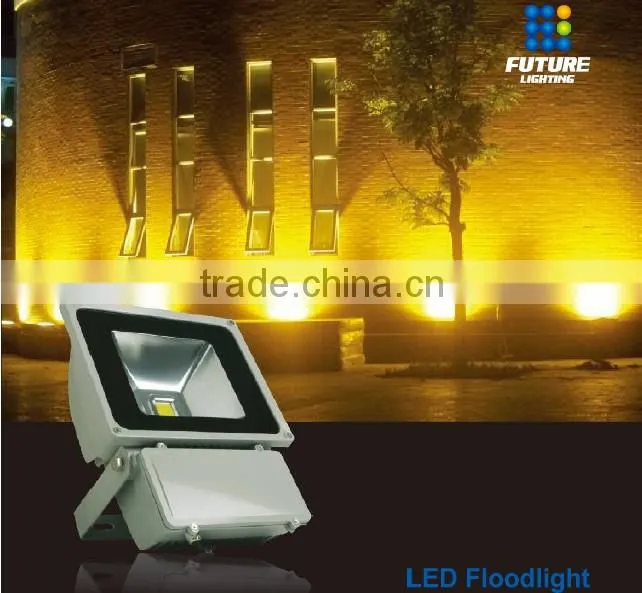 CE,RoHS shenzhen high power IP65 outdoor led flood light 100w