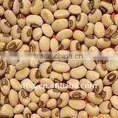 pink cowpea