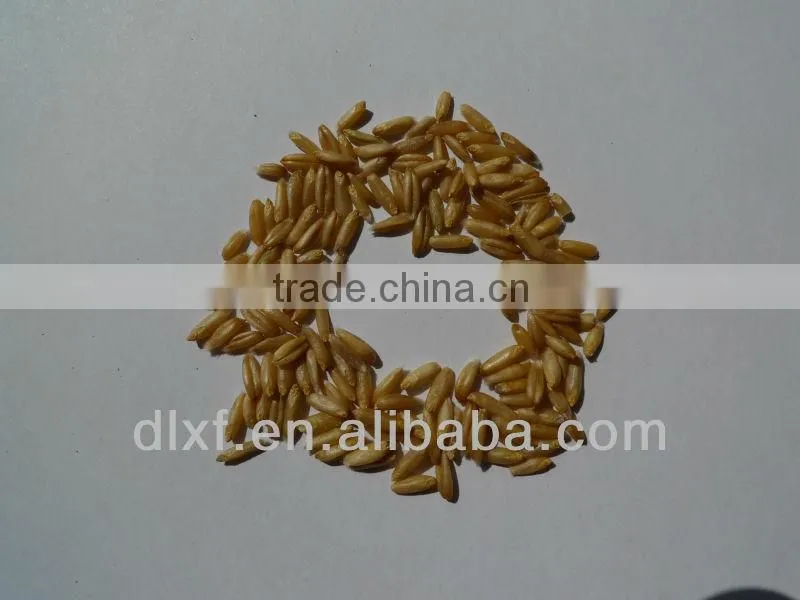 oat/peeless oat