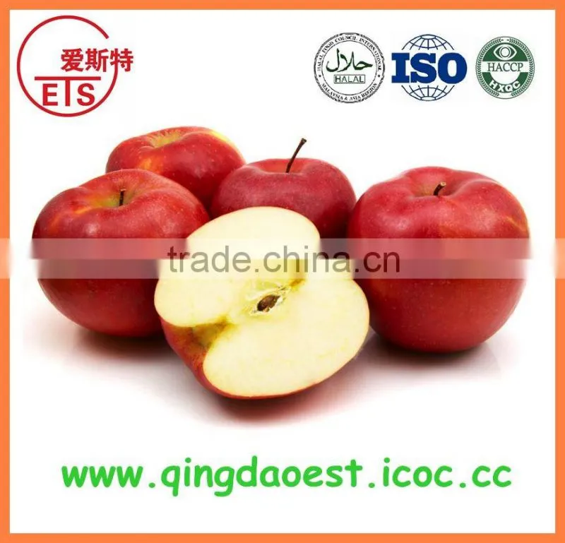 ISO9001 Export bulk high quality Frozen mixed vegetable