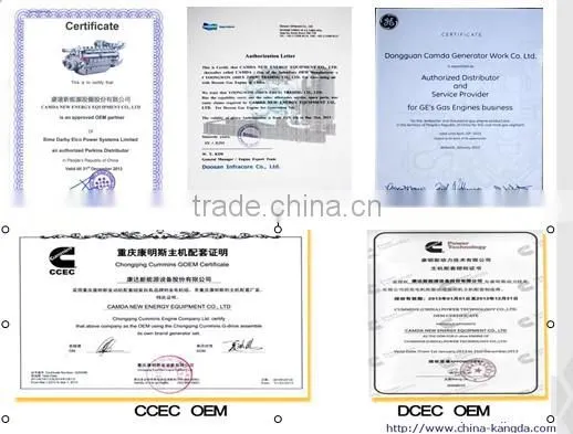 Ce And Iso Approved Biogas Generator / Natural Gas Generator / Biomass Power Plant