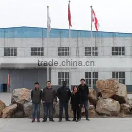 Shijiazhuang Synmec International Trading Ltd. company overview - view 2