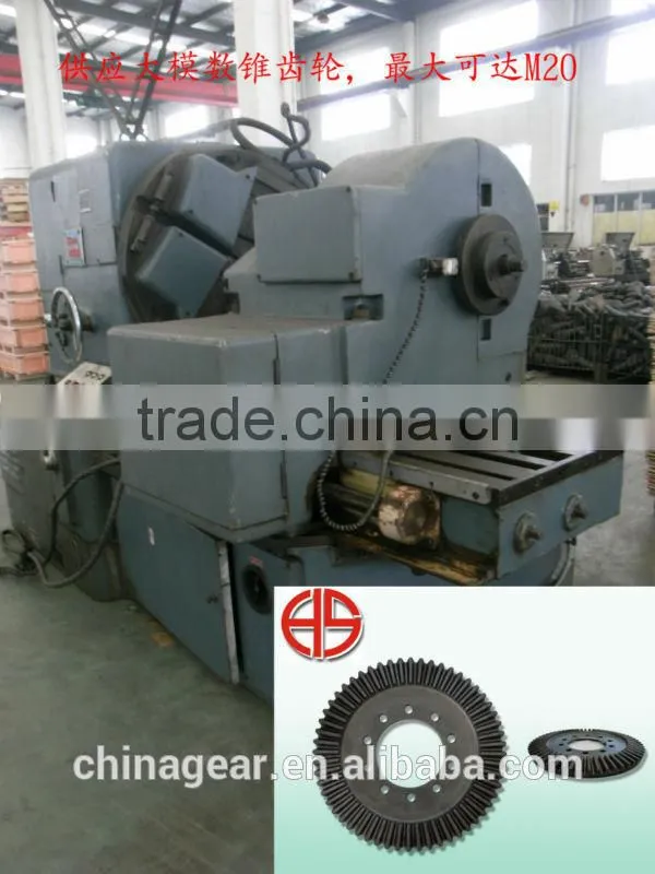 Big Bevel Gear