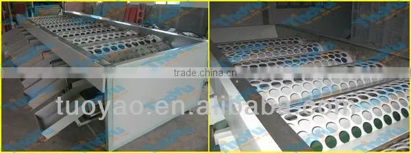THOYU brand Vegetable and Fruit Grading Machine by Size(skype:serathoyu)