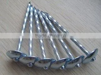 BWG10*2.5" galvanized umbrella head construction iron nails