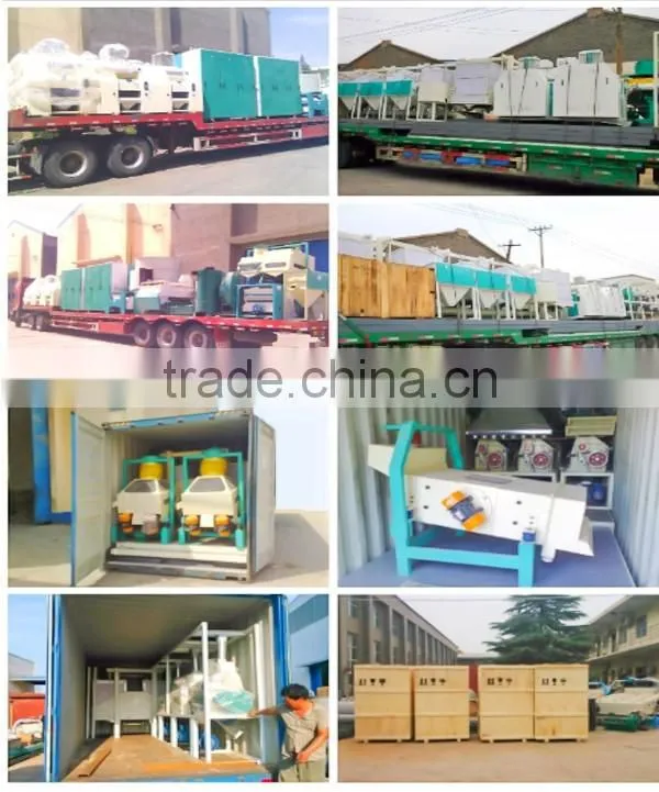 200TPD cassava peeler