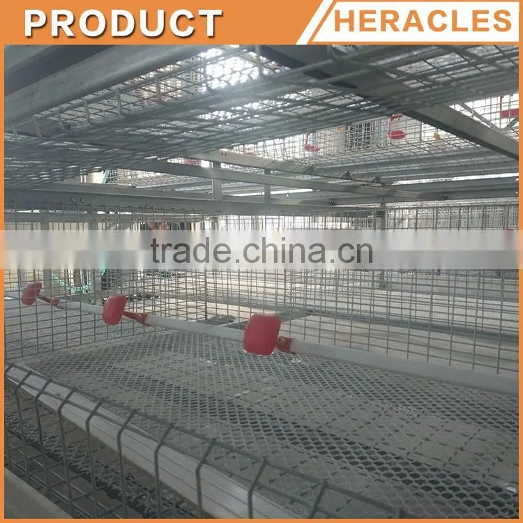 Heracles factory price poultry equipment automatic layer chicken egg cages