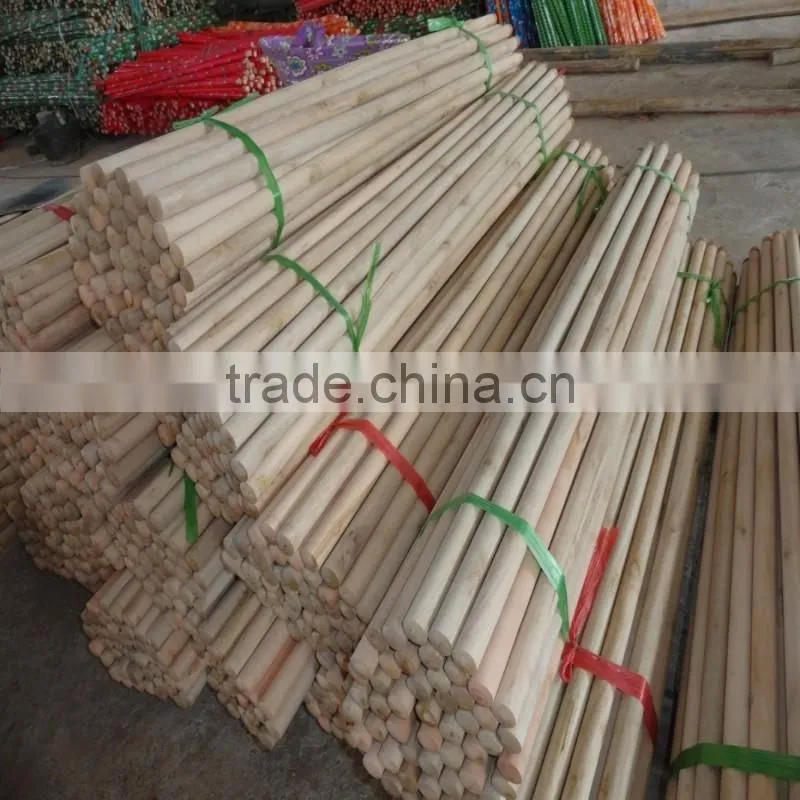 Home Usage and PET Broom Head Material broom handle