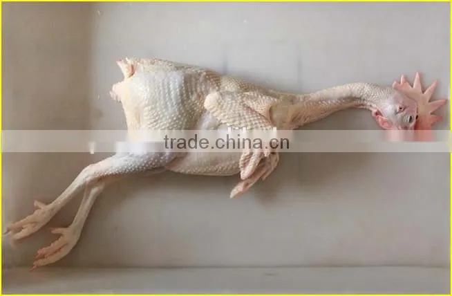 Chicken Hair Removing Machine| Chicken Dehairing Machine