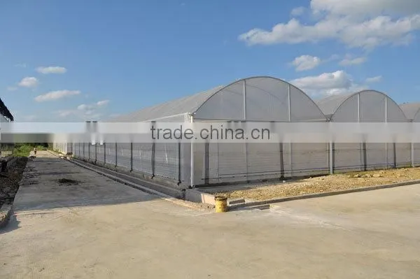 Multi-span Industrial Film Greenhouse Sale