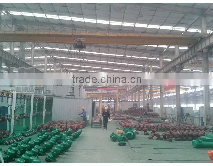 220v/380v electric hoist,providing wire rope hoist/chain hoist/mini hoist/electric winch