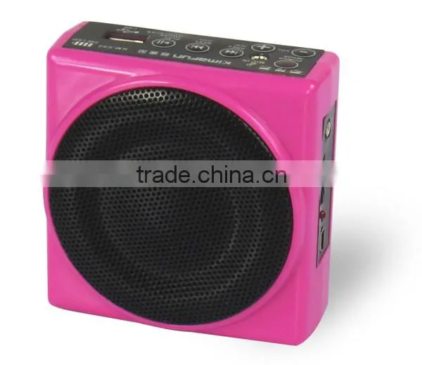 Multifunctional mini voice amplifier with TF port K-E82